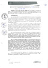 Vista preliminar de documento RGM0028-2021