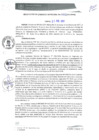 Vista preliminar de documento RGM0052-2021