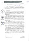 Vista preliminar de documento RGM0113-2021