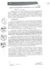 Vista preliminar de documento RGM0117-2021
