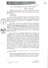 Vista preliminar de documento RGM0114-2021