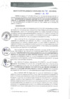 Vista preliminar de documento RGM0180-2021
