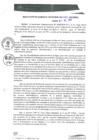 Vista preliminar de documento RGM0181-2021