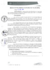 Vista preliminar de documento RGM0196-2021
