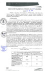 Vista preliminar de documento RGM0209-2021