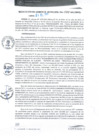 Vista preliminar de documento RGM0208-2021