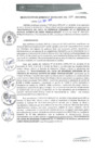 Vista preliminar de documento RGM0250-2021