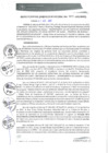 Vista preliminar de documento RGM0257-2021