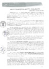 Vista preliminar de documento RGM0262-2021