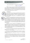 Vista preliminar de documento RGM0276-2021
