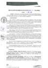 Vista preliminar de documento RGM0293-2021