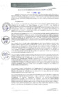 Vista preliminar de documento RGM0295-2021