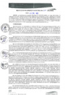 Vista preliminar de documento RGM0307-2021