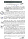 Vista preliminar de documento RGM0320-2021