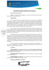 Vista preliminar de documento RGM0331-2021