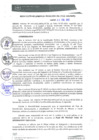 Vista preliminar de documento RGM0026-2022