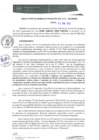 Vista preliminar de documento RGM0039-2022