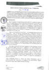 Vista preliminar de documento RGM0077-2022