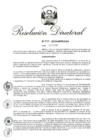 Vista preliminar de documento RD 029-2018.pdf