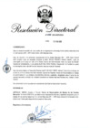 Vista preliminar de documento RD 025-2018.pdf