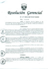 Vista preliminar de documento Resolución Gerencial Regional N° 00080-2015