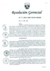 Vista preliminar de documento Resolución Gerencial Regional N° 00030-2019