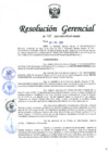 Vista preliminar de documento Resolución Gerencial Regional N° 00088-2021