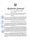 Vista preliminar de documento Resolución Gerencial Regional N° 00132-2021