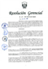 Vista preliminar de documento Resolución Gerencial Regional N° 00133-2021