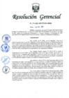 Vista preliminar de documento Resolución Gerencial Regional N° 00146-2021