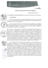 Vista preliminar de documento REA0096-2019