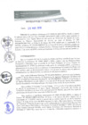 Vista preliminar de documento REA0136-2019