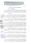 Vista preliminar de documento REA0196-2019