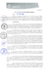 Vista preliminar de documento REA0207-2019