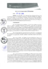 Vista preliminar de documento REA0301-2019