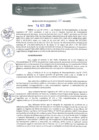 Vista preliminar de documento REA0313-2019