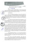Vista preliminar de documento REA0346-2019