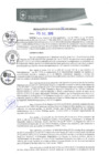 Vista preliminar de documento REA0356-2019