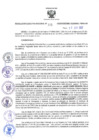Vista preliminar de documento RES N°325-2022-GR