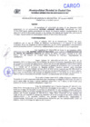 Vista preliminar de documento R.G.M. N°011-2021-MDCE/GM