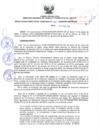 Vista preliminar de documento RESOLUCION DIRECTORAL REGIONAL Nº 006-2020-GRP-DRTPE-DR.pdf