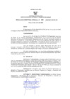Vista preliminar de documento RESOLUCION DIRECTORAL REGIONAL Nº 009-2020-GRP-DRTPE-DR LESLYE -DPSCL.pdf