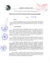 Vista preliminar de documento Resolución Directoral N° 00019-2021-DRTPE