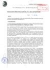 Vista preliminar de documento RESOLUCION DIRECTORAL REGIONAL N° 030-2021-GRP-DRTPE-DR.pdf
