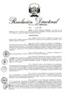 Vista preliminar de documento RD 245-2017.pdf