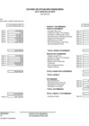 Vista preliminar de documento Estado de Balance General - Enero