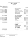 Vista preliminar de documento Estado de Balance General