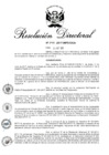 Vista preliminar de documento RD 244-2017.pdf