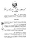 Vista preliminar de documento R.D. N° 002-2018-INPE_15.pdf