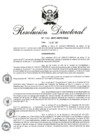 Vista preliminar de documento RD 238-2017.pdf